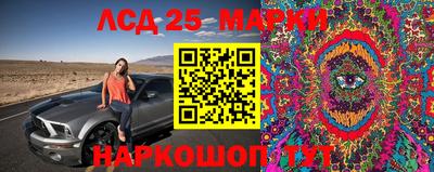 меф Гатчина
