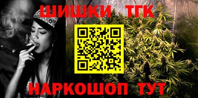 меф Гатчина