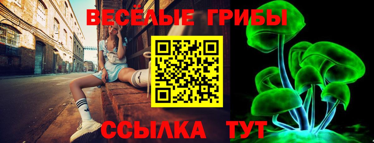 Псилоцибиновые грибы мицелий Краснознаменск