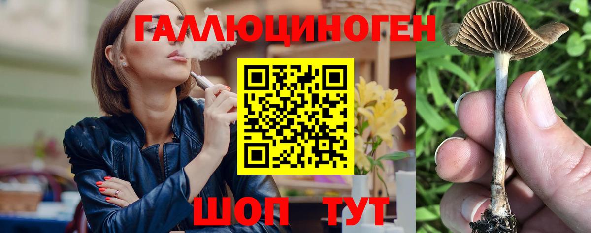 Краснознаменск  Псилоцибиновые грибы мицелий  Вход с VPN 
